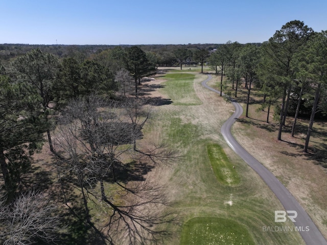 306 S Tee Dr, Fairhope, AL 36532 - drone / aerial view of a golf course and a tree filled landscape