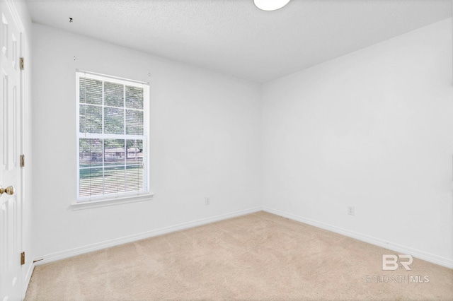 spare room featuring baseboards and light colored carpet