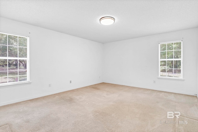 empty room featuring baseboards, light carpet, and a textured ceiling