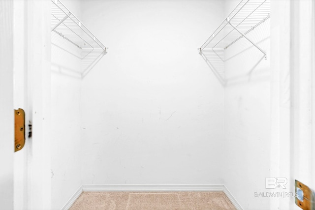 walk in closet with carpet