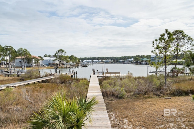 dock area with a water view