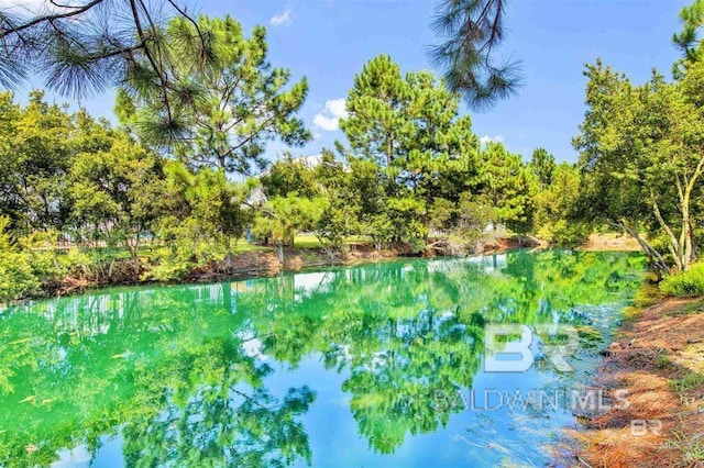 view of water feature