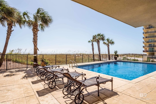 view of pool featuring a patio