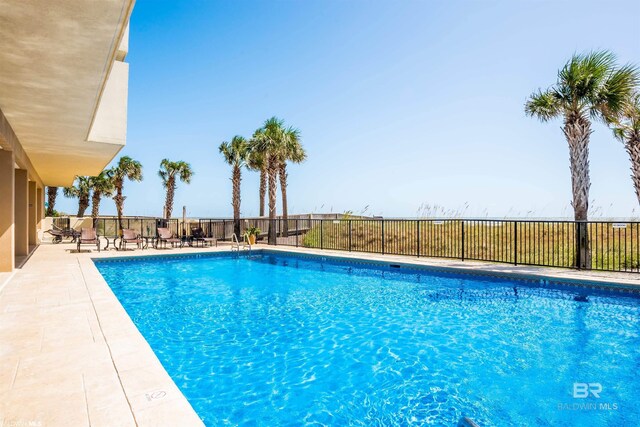 view of pool with a patio area