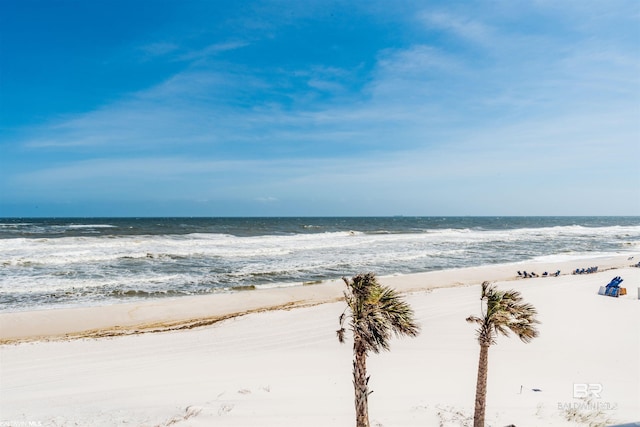 property view of water featuring a beach view