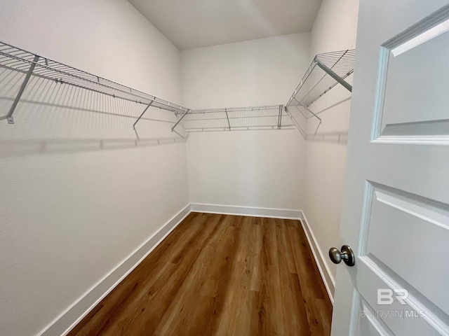 spacious closet with wood-type flooring