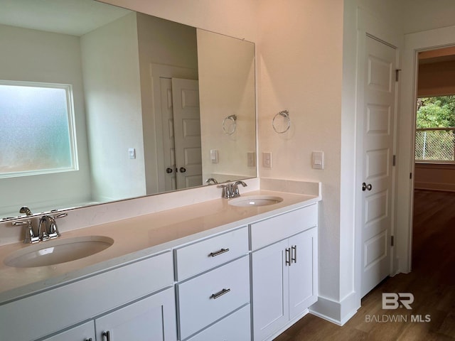 bathroom with vanity and wood-type flooring