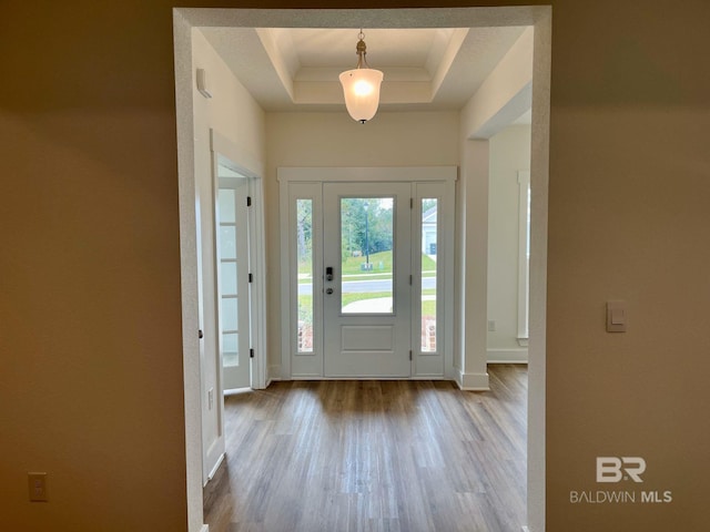 entrance foyer featuring a tray ceiling and light hardwood / wood-style flooring