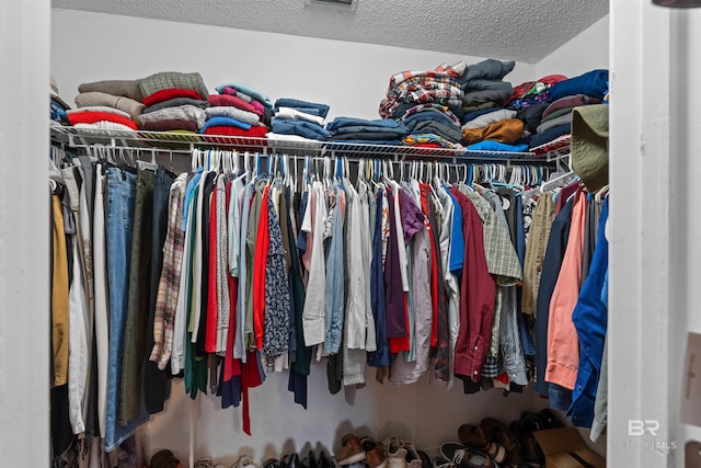 view of walk in closet