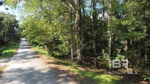 0 Baumhauer Dr, Mobile AL, 36613 land for sale