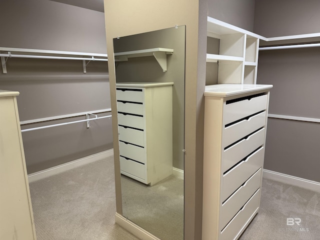 spacious closet featuring carpet floors