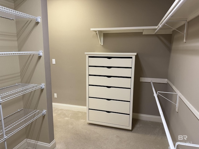 spacious closet featuring carpet floors