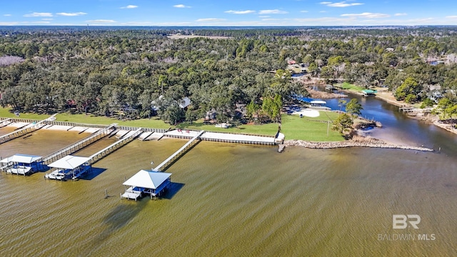 birds eye view of property with a water view and a forest view