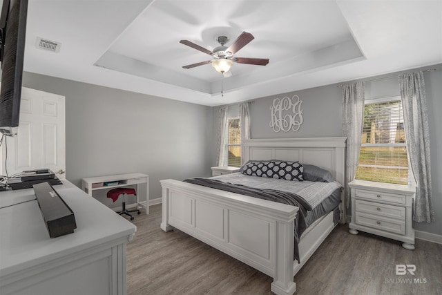 bedroom with hardwood / wood-style flooring, a raised ceiling, and multiple windows