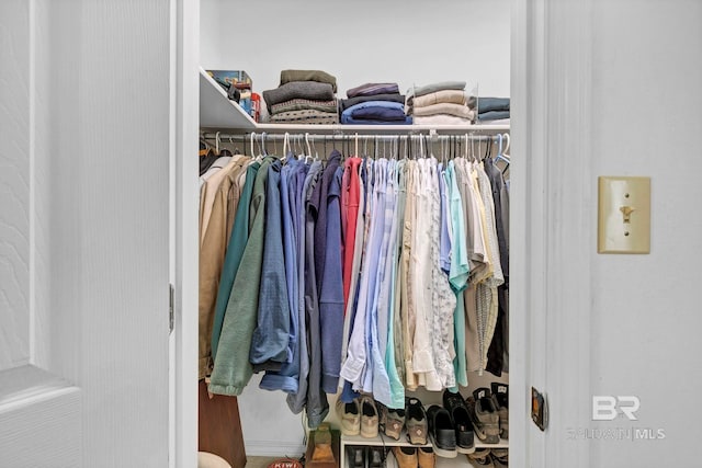 view of closet