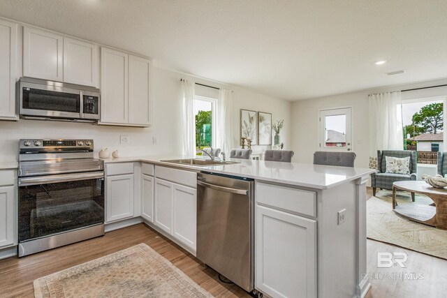 8426 Shannons Mill Rd, Foley, AL 36535 - kitchen featuring a sink, light countertops, stainless steel appliances, a peninsula, and light wood-type flooring