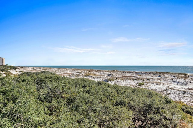 property view of water featuring a view of the beach