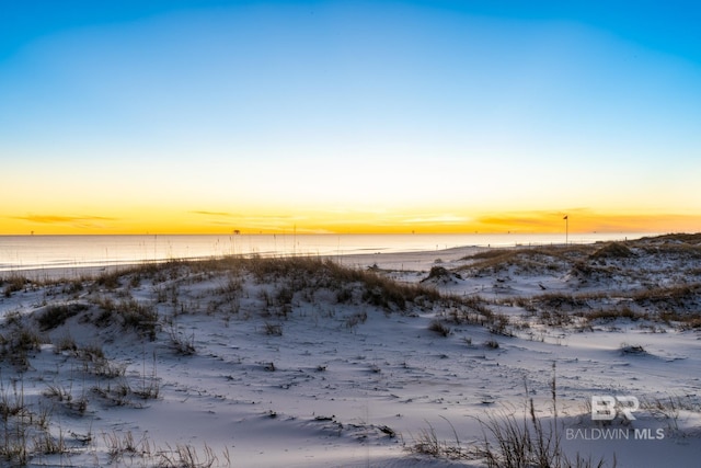 water view featuring a beach view