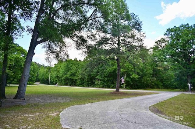surrounding community with a yard and a forest view