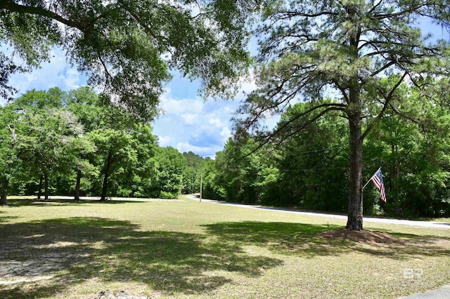 view of home's community featuring a yard