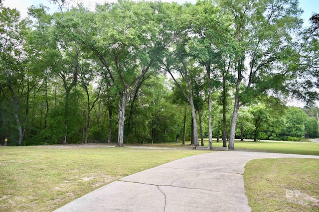 view of community with a yard and driveway
