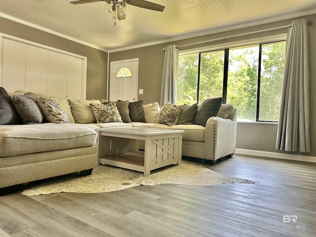 living room featuring a ceiling fan, ornamental molding, a wealth of natural light, and light wood finished floors