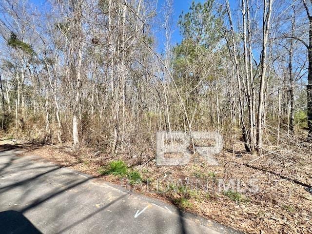 100BLOCK Shelby Ln, Atmore, AL 36502