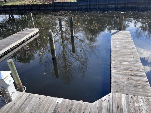 dock area with a water view