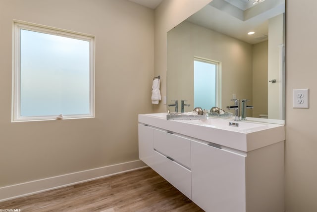 bathroom featuring a wealth of natural light, large vanity, and hardwood / wood-style flooring