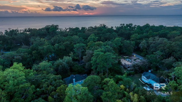 aerial view at dusk with a water view