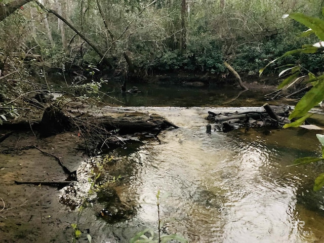 view of local wilderness