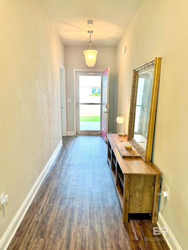 entryway with dark hardwood / wood-style floors