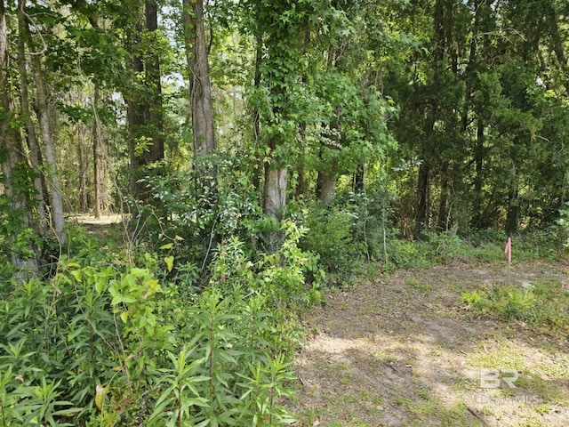0 Stanton Rd, Spanish Fort AL, 36527 land for sale