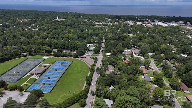 bird's eye view