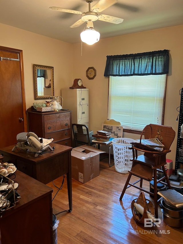 office featuring ceiling fan and light hardwood / wood-style floors