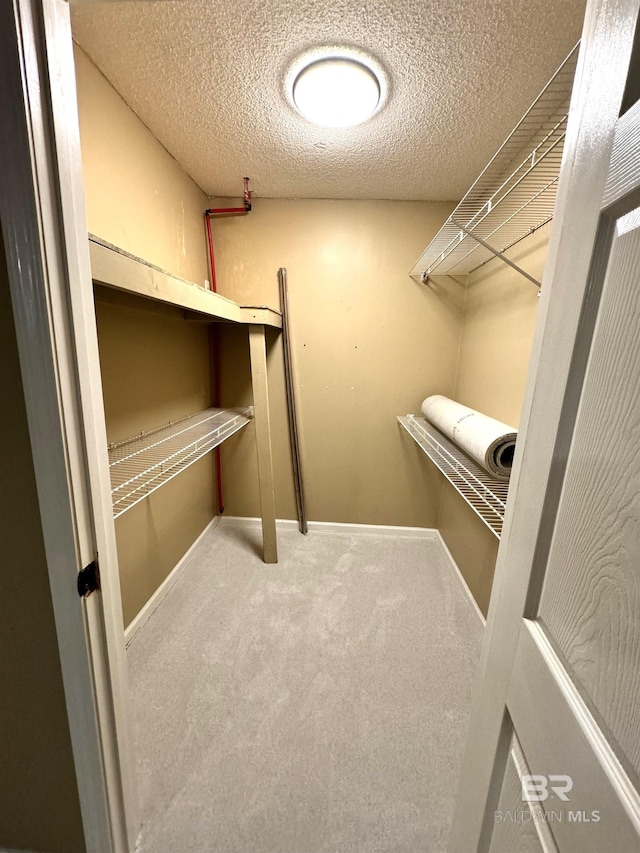 walk in closet featuring carpet flooring