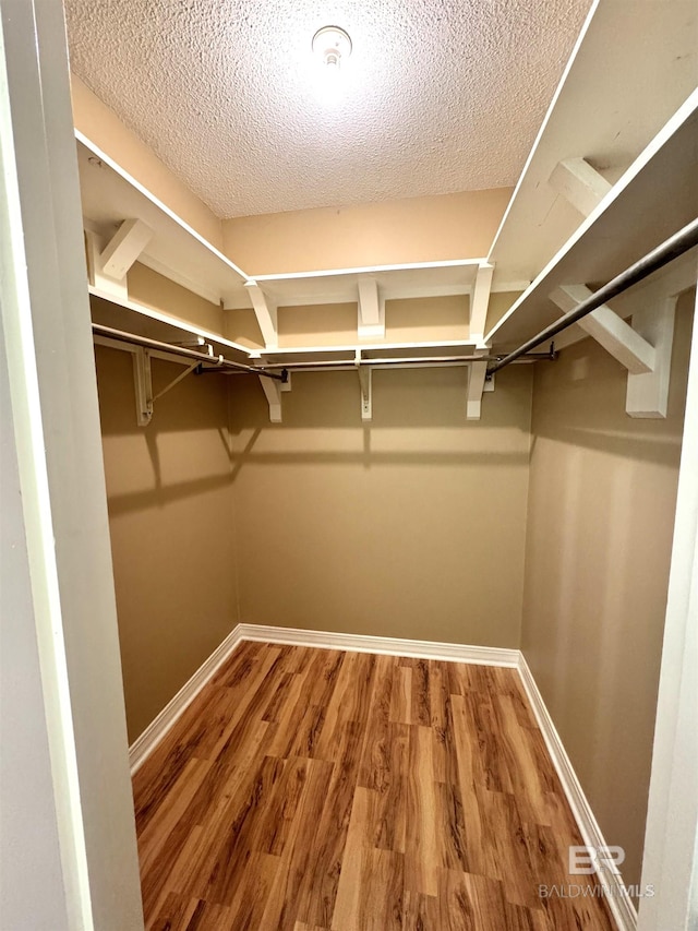 walk in closet featuring wood-type flooring