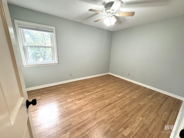 empty room with light hardwood / wood-style floors and ceiling fan