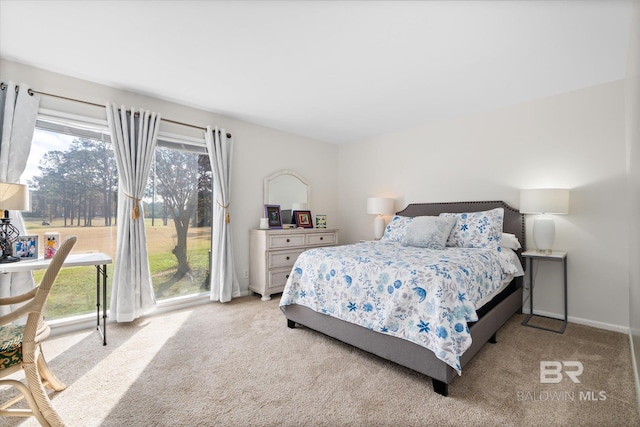 bedroom with light colored carpet