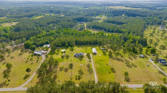 birds eye view of property featuring a forest view