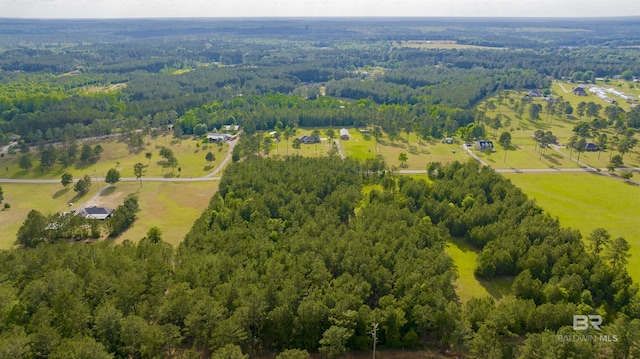 aerial view with a view of trees and a rural view