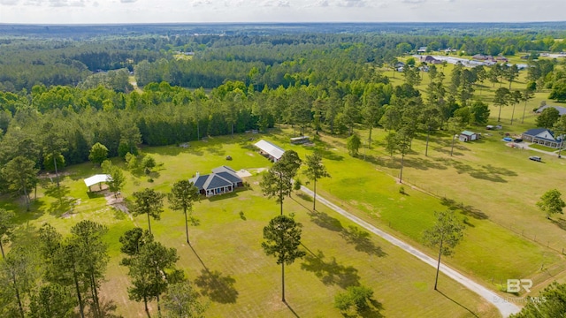 bird's eye view with a forest view