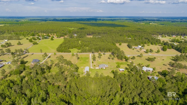 bird's eye view featuring a wooded view