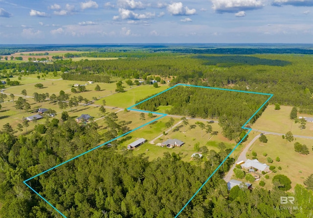 birds eye view of property with a rural view and a wooded view
