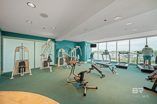 exercise room featuring carpet flooring