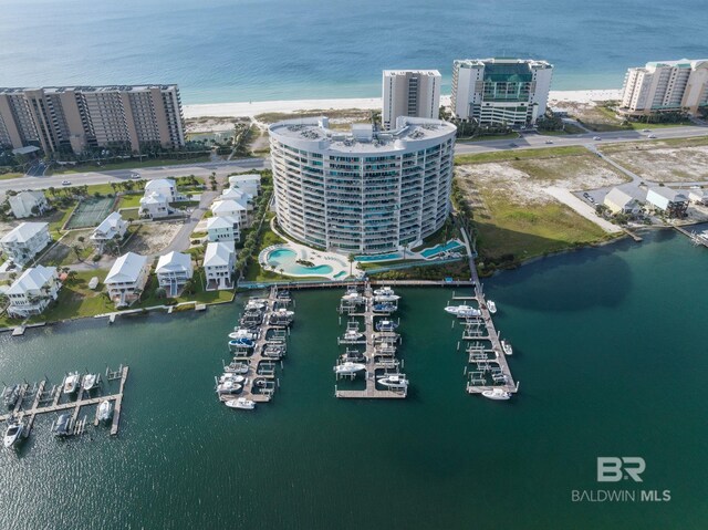 drone / aerial view with a water view and a view of the beach