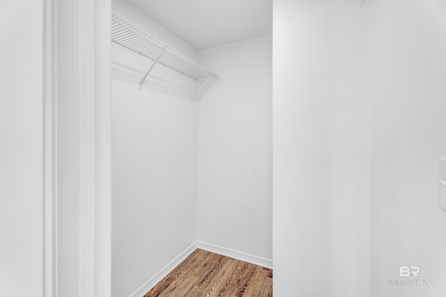 walk in closet with wood-type flooring