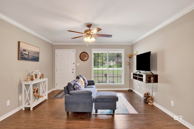 living room with ceiling fan, dark hardwood / wood-style floors, and ornamental molding