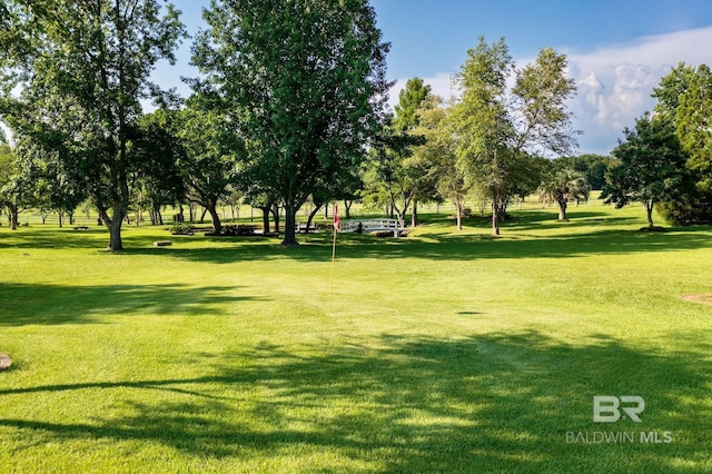 24235 County Road 87, Robertsdale, AL 36567 - view of home's community featuring a yard