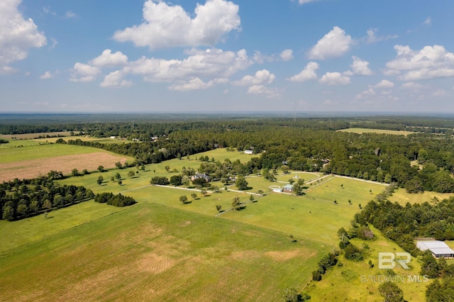 24235 County Road 87, Robertsdale, AL 36567 - view of rural area featuring a forest